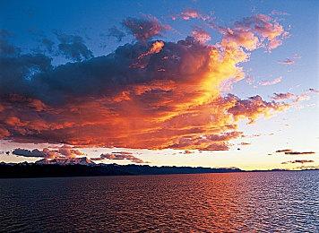 《圈圈勇士》1月24日登陆Steam 循环打怪卡牌构建策略