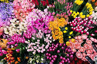 开放世界动作冒险游戏《Hell is Us》现已上线Steam平台 预计2025年发售