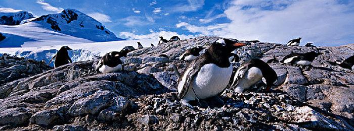 Pine Studio公布《密室逃脱模拟器2》将登陆PC